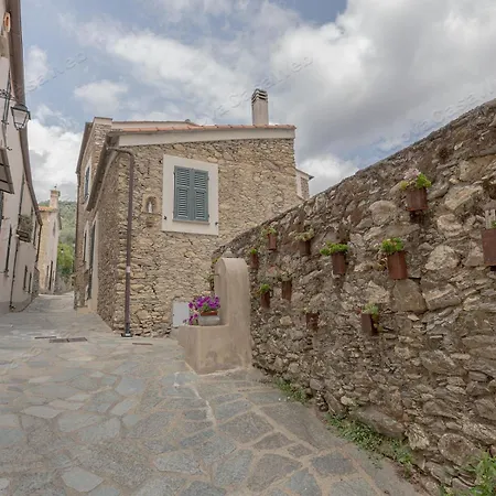 Semesterbostad La Casa Tra Gli Ulivi